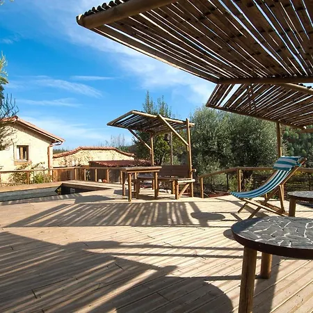 Casa Bigode *